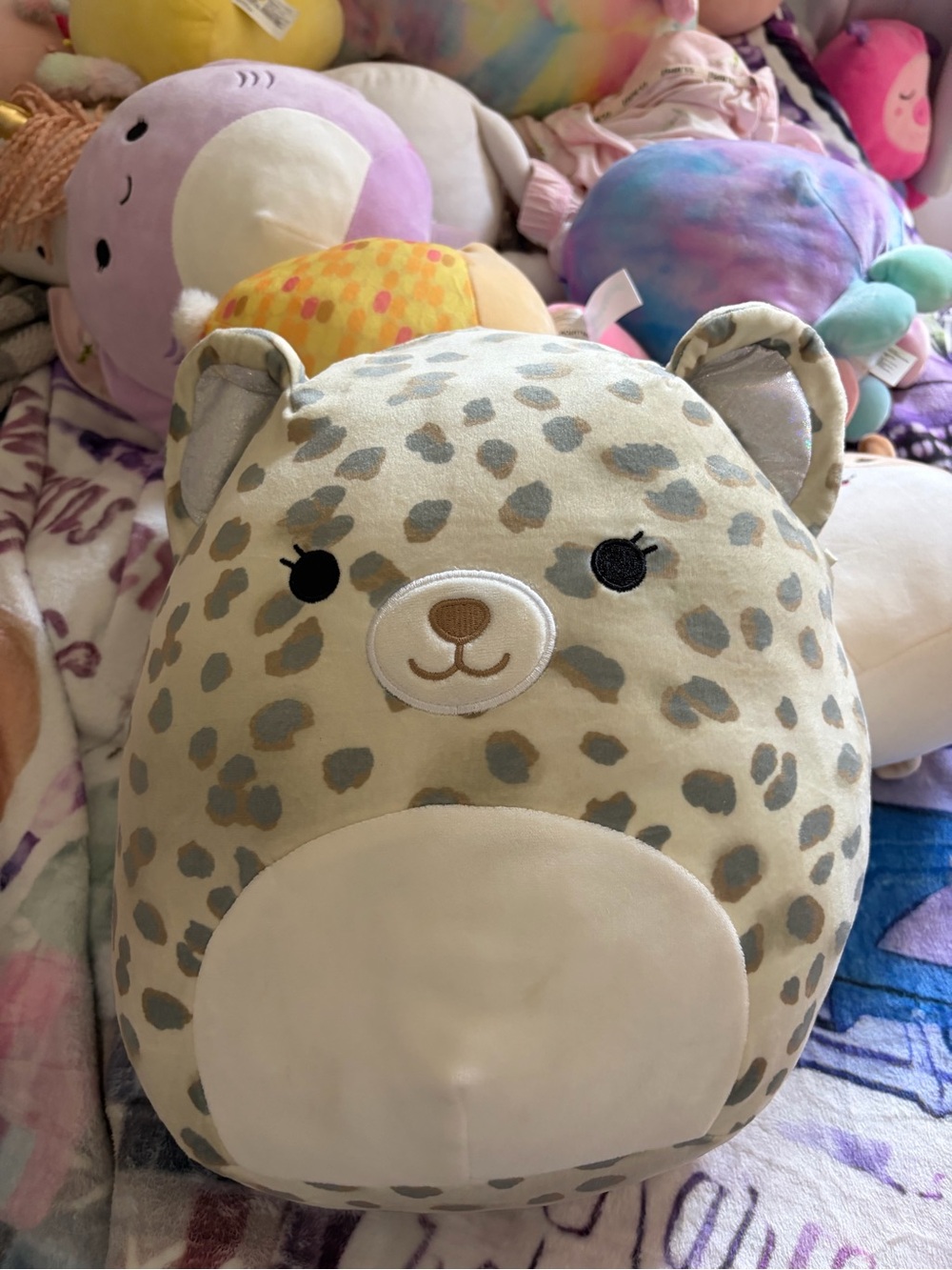 Medium sized cheetah Squishmallow